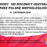 Obchody 100 rocznicy odzyskania przez Polskę Niepodległości.