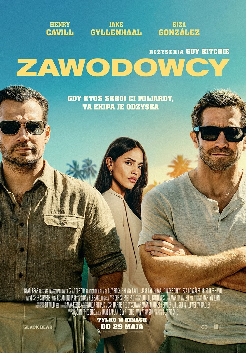Zawodowcy 2D NAP